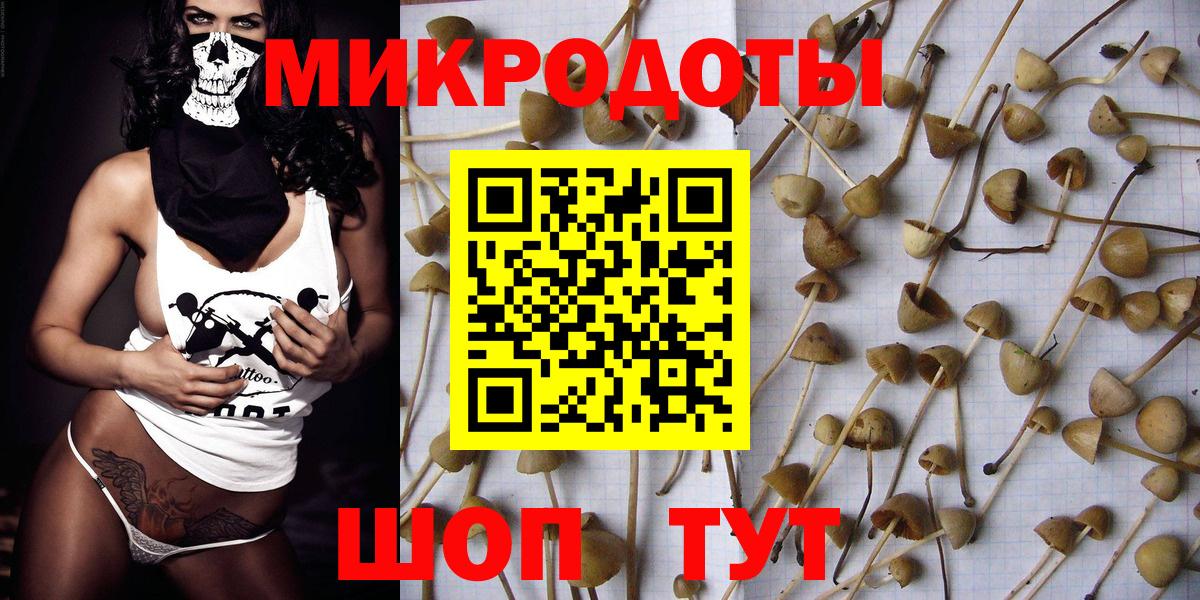 Карабулак  Псилоцибиновые грибы прущие грибы  Вход с VPN 